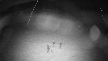 Snímek    1.11.2025 v 19:30