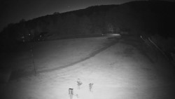 Dětský vlek