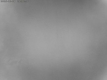 Snímek 8.11.2025 v 19:30