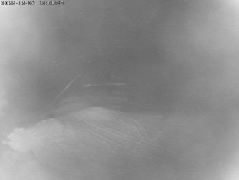 Lyžařský areál Čeřínek