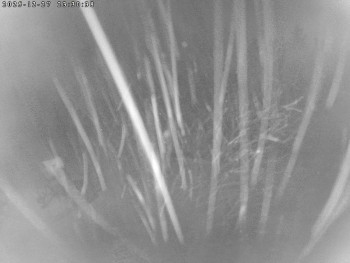 Lyžařský areál Čeřínek