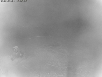 Lyžařský areál Čeřínek