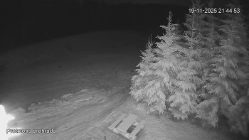 Snímek    19.11.2025 v 21:45