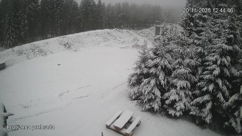 Snímek    20.11.2025 v 12:45