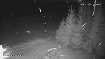 Bílá Desná přehrada