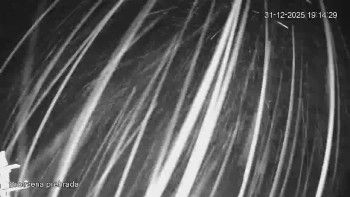 Bílá Desná přehrada