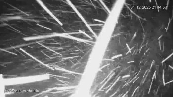 Bílá Desná přehrada