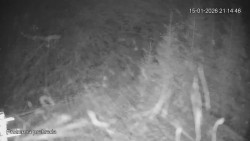 Protržená přehrada