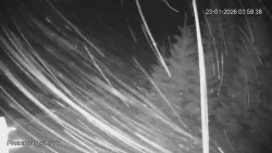 Protržená přehrada