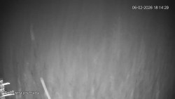 Protržená přehrada