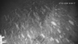 Protržená přehrada