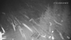 Protržená přehrada