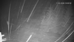 Protržená přehrada