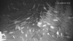 Protržená přehrada