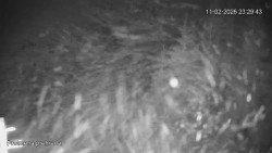 Protržená přehrada