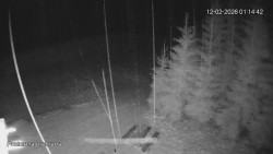 Protržená přehrada