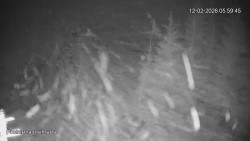 Protržená přehrada