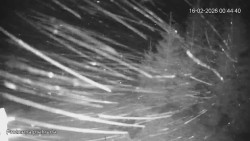 Protržená přehrada