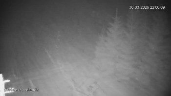 Bílá Desná přehrada