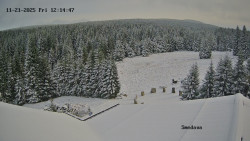 Směďava, Černý vrch