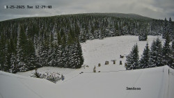 Směďava, Černý vrch