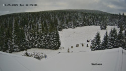 Směďava, Černý vrch