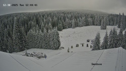 Směďava, Černý vrch