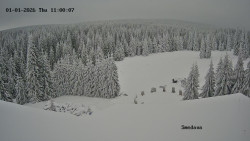 Směďava, Černý vrch