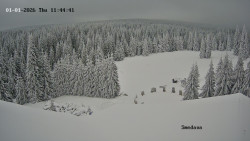 Směďava, Černý vrch