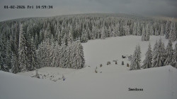 Směďava, Černý vrch