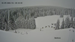 Směďava, Černý vrch