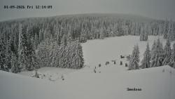 Směďava, Černý vrch