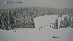 Směďava, Černý vrch