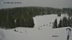 Směďava, Černý vrch