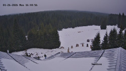 Směďava, Černý vrch