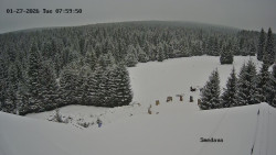 Směďava, Černý vrch