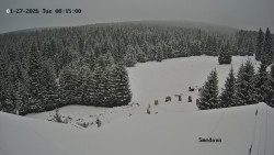 Směďava, Černý vrch