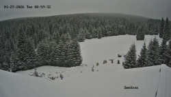 Směďava, Černý vrch