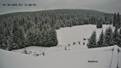 Směďava, Černý vrch