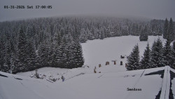 Směďava, Černý vrch