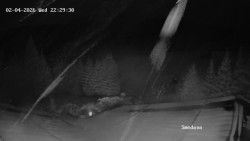 Směďava, Černý vrch