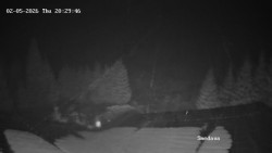 Směďava, Černý vrch