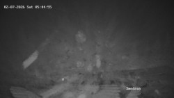 Směďava, Černý vrch