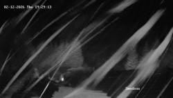 Směďava, Černý vrch