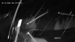 Směďava, Černý vrch