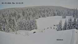 Směďava, Černý vrch