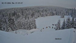 Směďava, Černý vrch