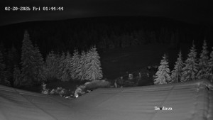 Směďava - Směďava, Černý vrch - 20.2.2026 v 01:45 Směďava - Směďava, Černý vrch - 20.2.2026 v 01:45