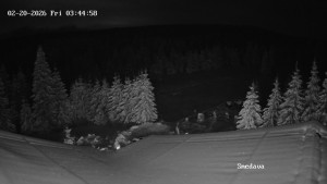 Směďava - Směďava, Černý vrch - 20.2.2026 v 03:45 Směďava - Směďava, Černý vrch - 20.2.2026 v 03:45