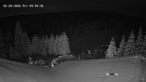 Směďava - Směďava, Černý vrch - 20.2.2026 v 04:45 Směďava - Směďava, Černý vrch - 20.2.2026 v 04:45